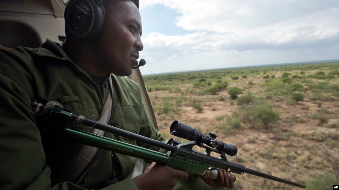 Ảnh tư liệu - Một người đàn ông trên máy bay trực thăng đi săn voi ở gần Kajiado, phía nam Kenya, ngày 3 tháng 12 năm 2013. 